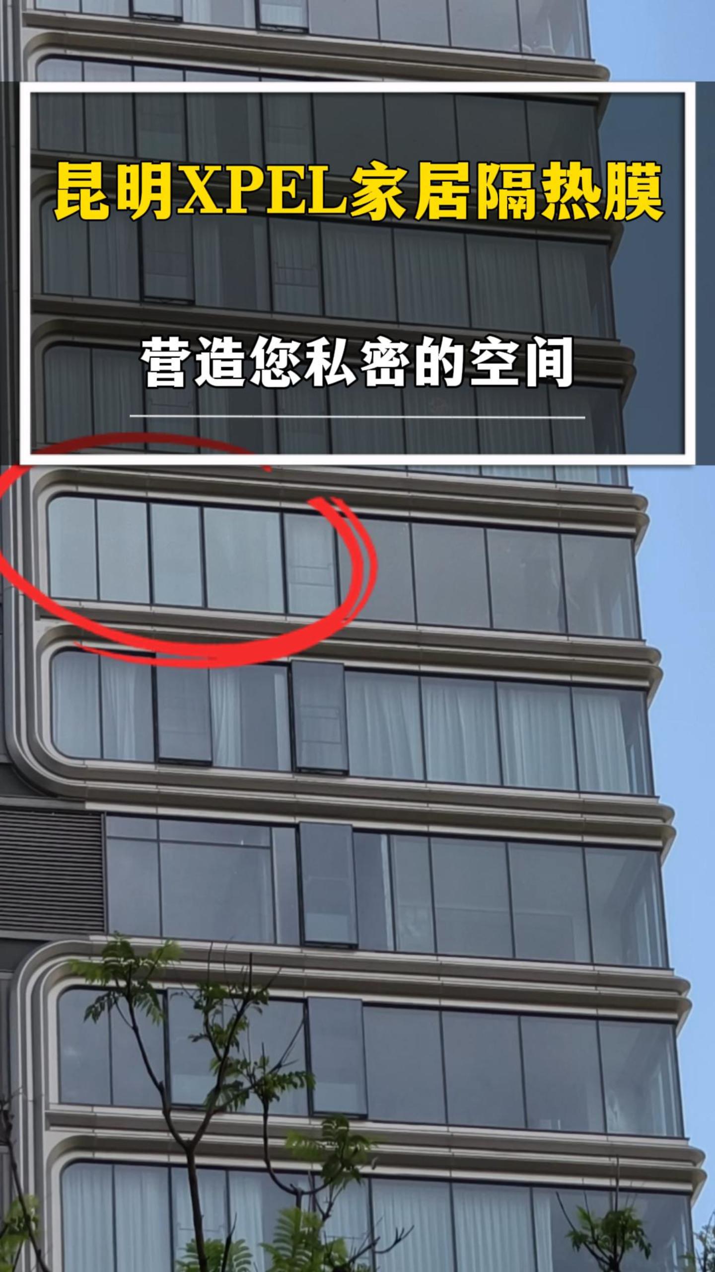 北京路9号 XPEL VISION 建筑膜